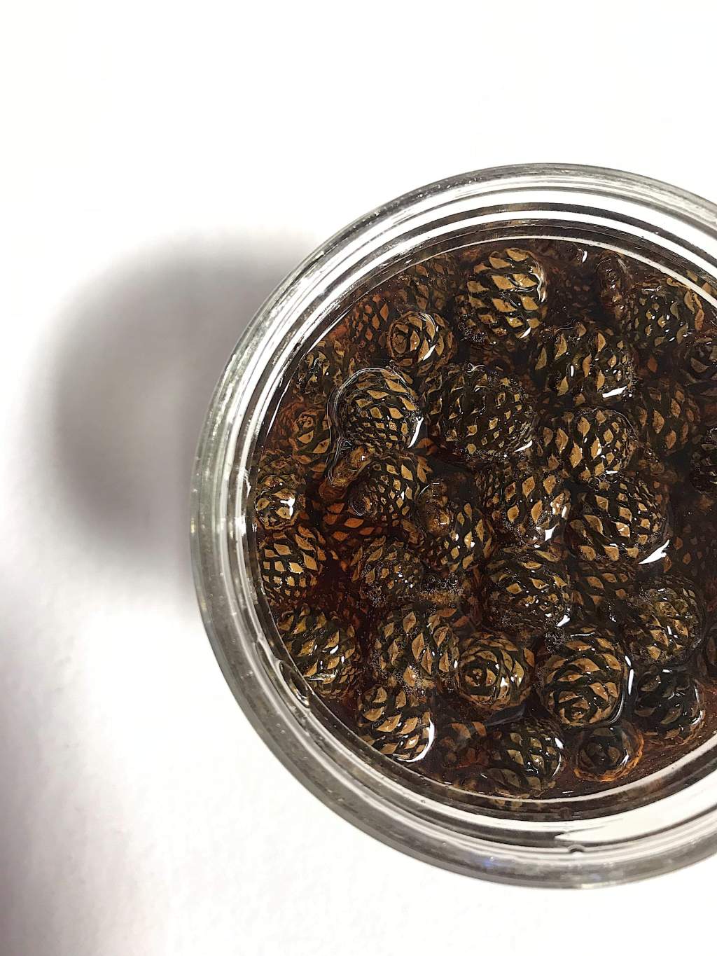 Młode szyszki sosny w&nbsp;syropie