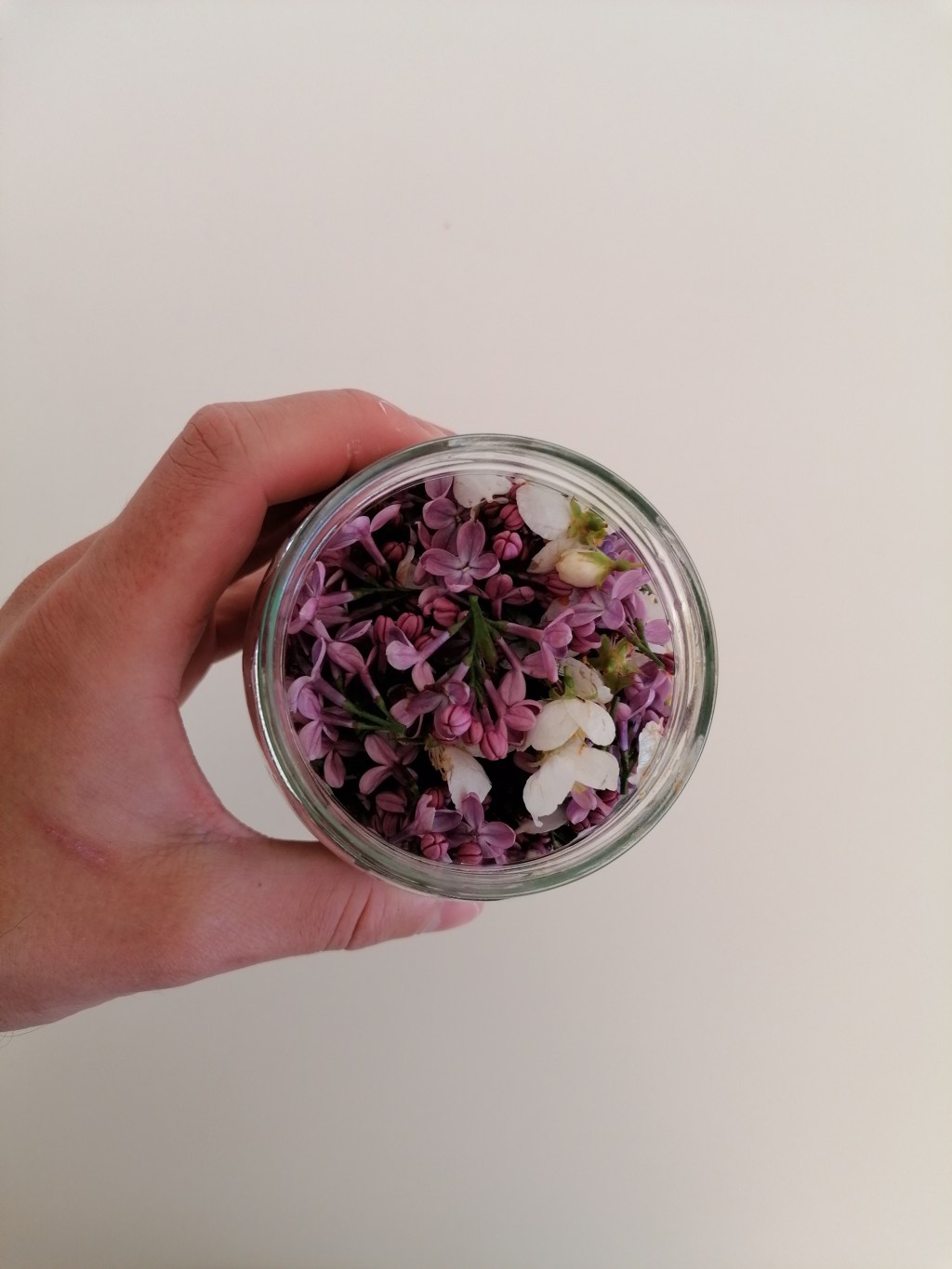 Ocet z Lilakiem, sposób na leniwy ocet z&nbsp;kwiatami