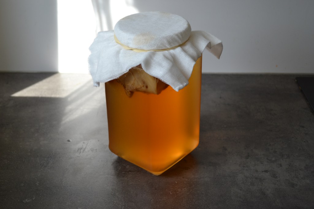 Kombucha / Kombucza – fermentowana herbata. Jak ją zrobić i czym jest SCOBY&nbsp;?